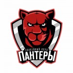 Пантеры (Челябинск)
