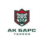 АК Барс - Танеко (Нижнекамск)