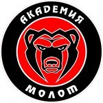 Академия Молот (Пермь)