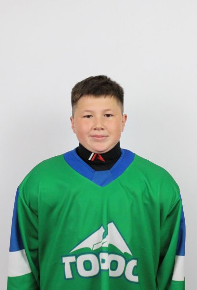 Гильманов  Данияр  Альбертович