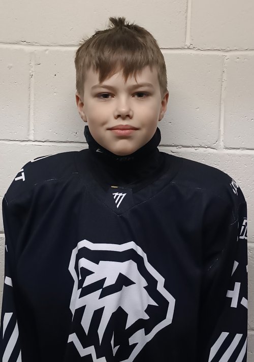 Подкорытов  Александр  Вячеславович