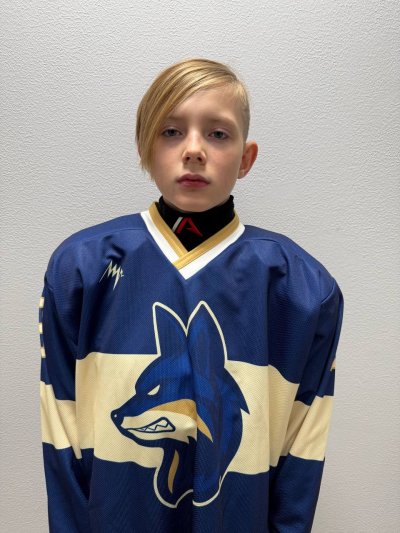 Пилюгин  Дмитрий  Игоревич