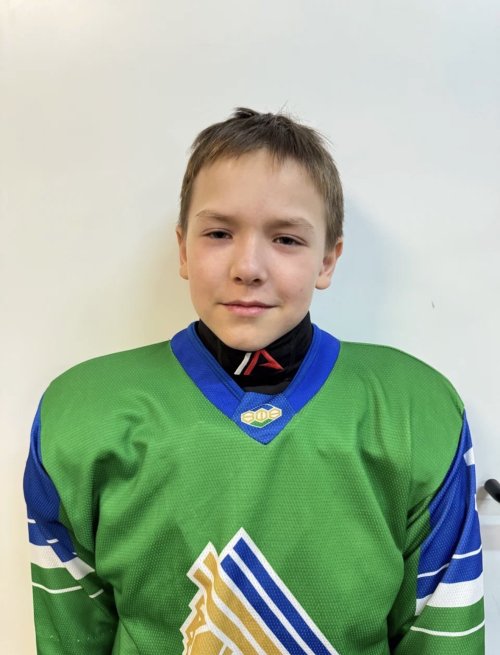 Шафигуллин  Дамир  Ильдарович