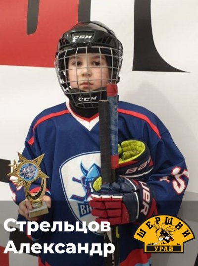 Стрельцов Александр Дмитриевич