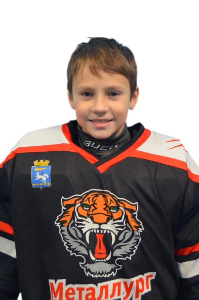 Викулин  Лев  Иванович