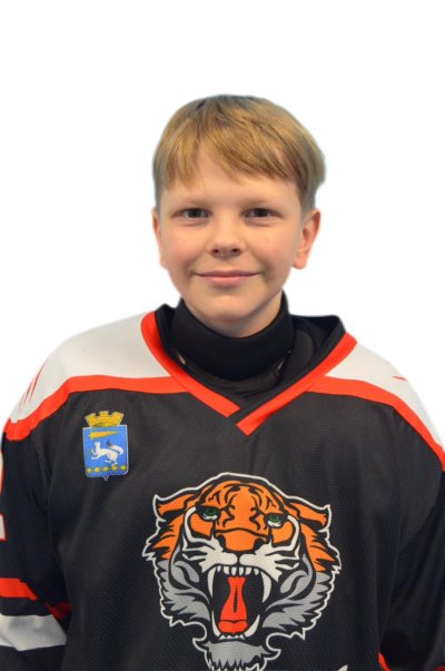 Воеводин  Дмитрий  Александрович