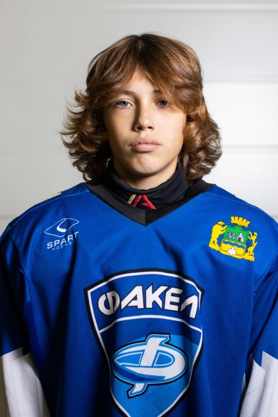 Медянцев Дмитрий Дмитриевич