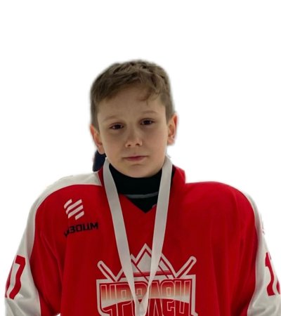 Ставский  Родион  Ильич