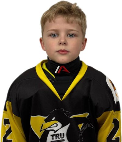 Поддьяков  Андрей  Дмитриевич