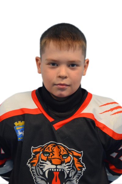 Посников  Даниил  Леонидович