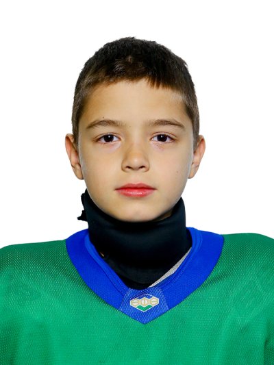 Гизетдинов  Динияр  Ильнурович