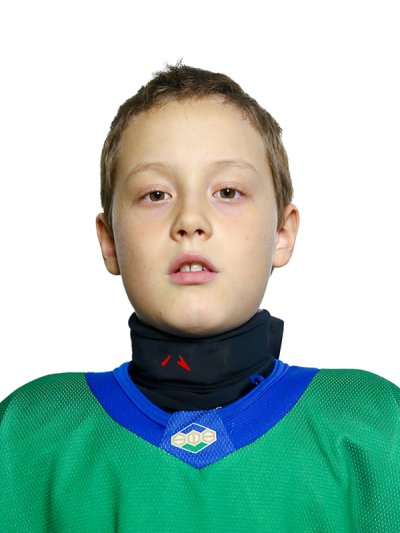 Сарьянов  Таир  Эльвирович