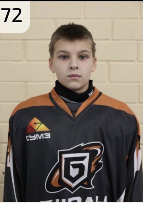 Гоголев  Максим  Витальевич