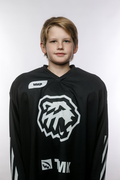 Воробьев  Мирон  Никитич