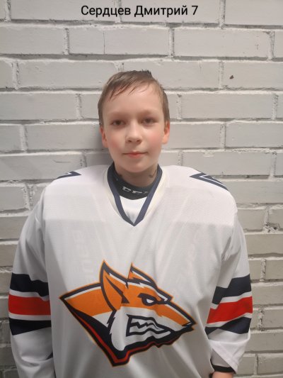 Сердцев  Дмитрий  Максимович