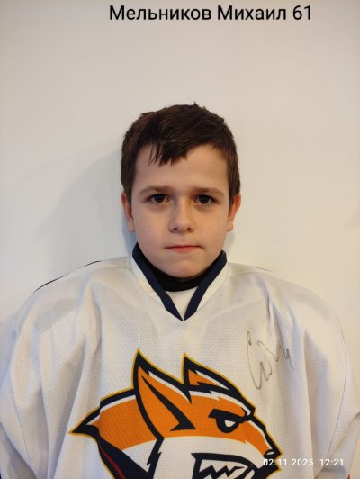 Мельников  Михаил  Дмитриевич