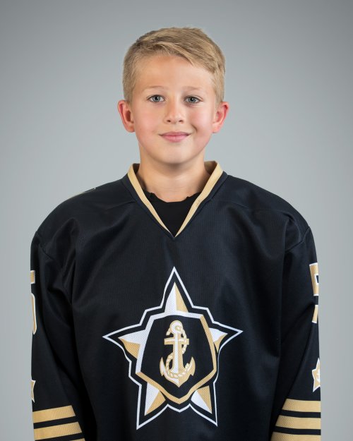 Григорян  Дамир  Давидович