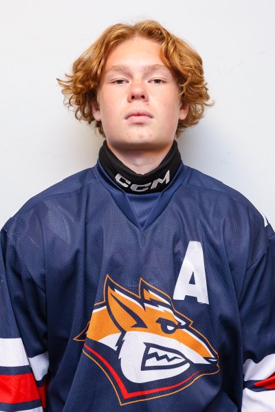 Воронов  Дмитрий  Константинович