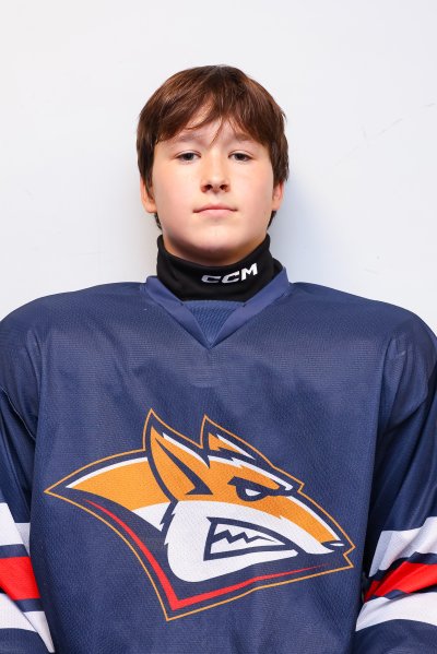 Кучереску  Владислав  Денисович