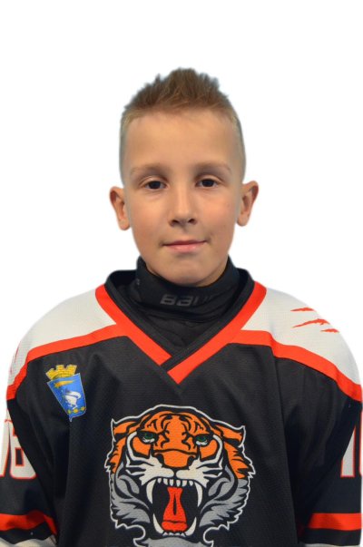 Цыпляшов  Вячеслав  Степанович