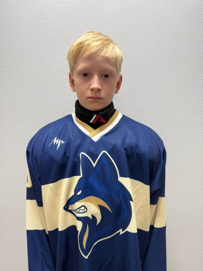 Сайфутдинов  Максим  Азатович