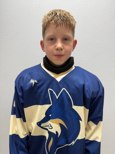 Голубев  Дмитрий  Юрьевич