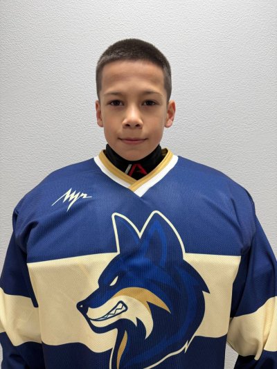 Гильманов  Шамиль  Ильшатович