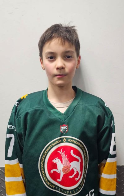 Гарифуллин  Амир  Алмазович