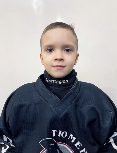 Гребнев  Лев  Данилович