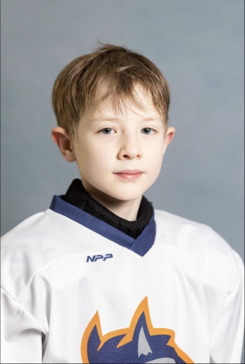 Загороднов  Яромир  Александрович