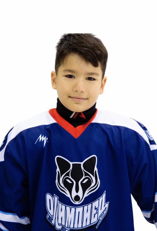 Гадельшин  Карим  Артурович