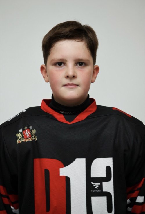 Яковлев  Илья  Витальевич