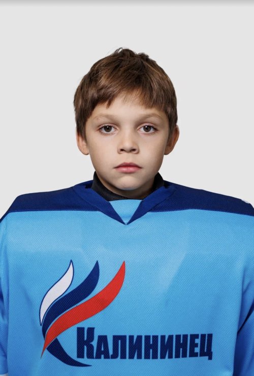 Дмитриев  Майкл  Станиславович